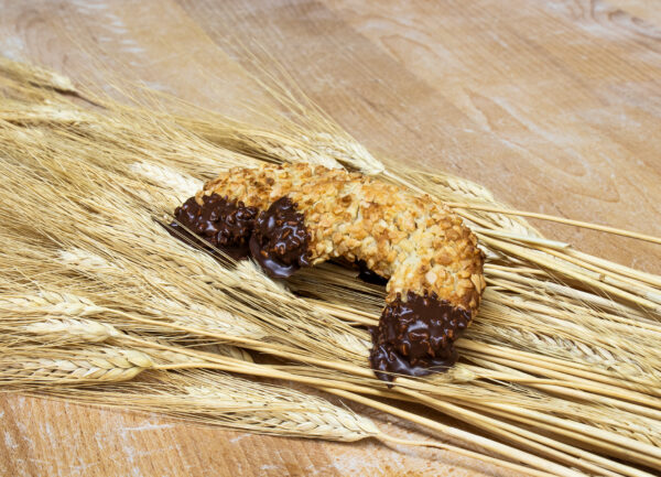 Mandelhörnchen